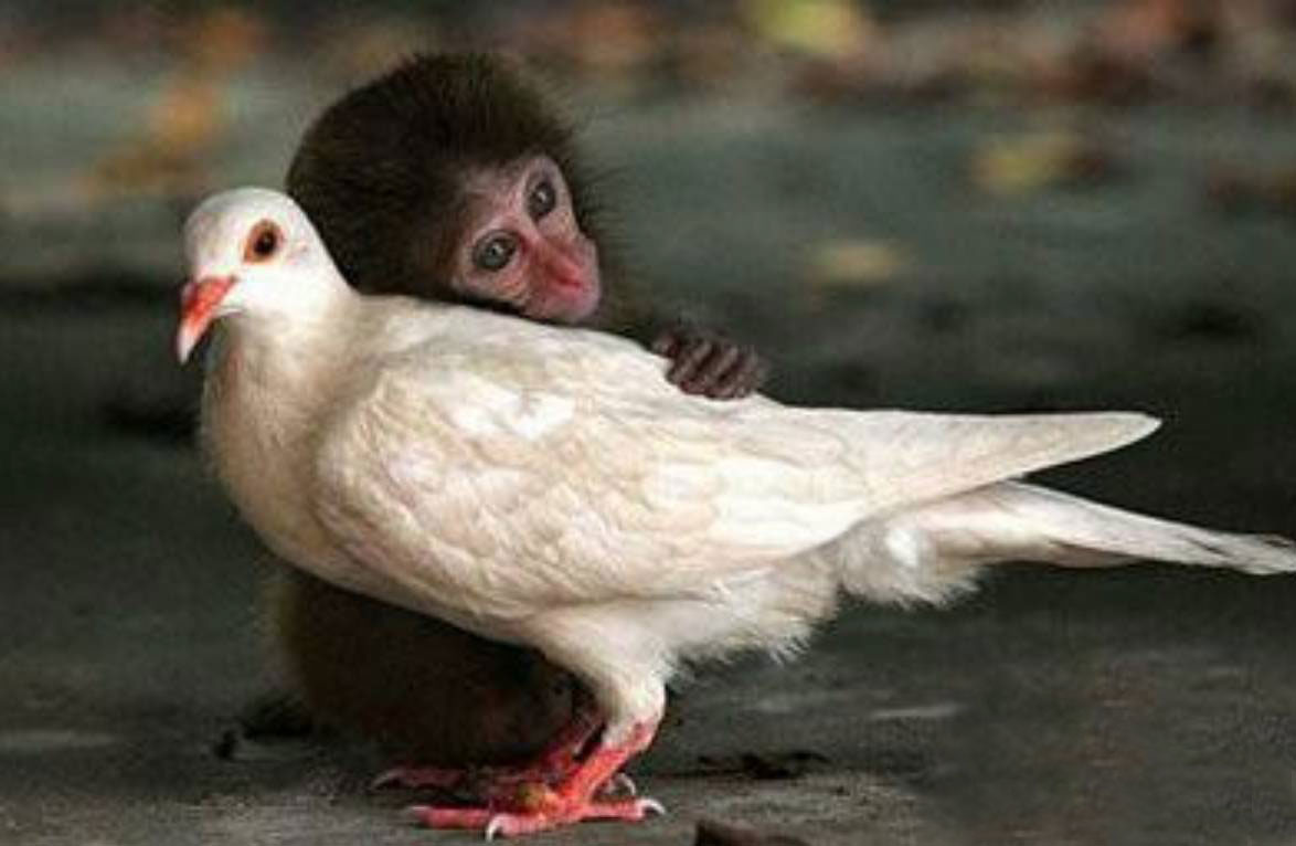 65b4e22e520606872619c6dd4e52290b.jpg 65b4e22e520606872619c6dd4e52290b.jpg